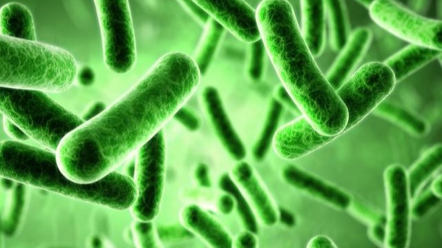 Machine learning and microbes: How big data is redefining biotechnology